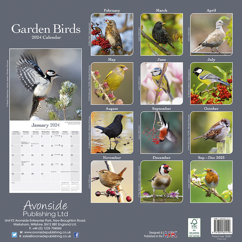 Kalender 2024 Gartenvögel - Garden Birds
