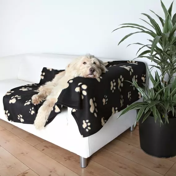 hundedecke-barney-trixie