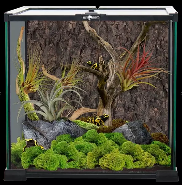 Mini Terrarium 30x30x30 cm