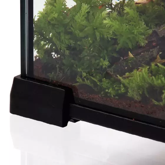 Mini Terrarium 30x30x30 cm Mini Terrarium 30x30x30 cm