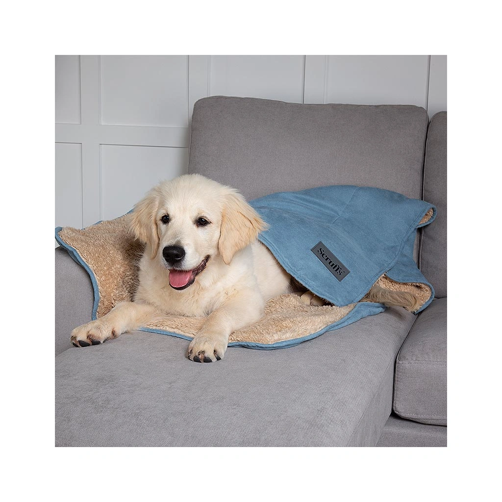 Scruffs Cosy Blanket & Bone Toy-Set