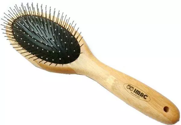 Einfache Bürste Bambus