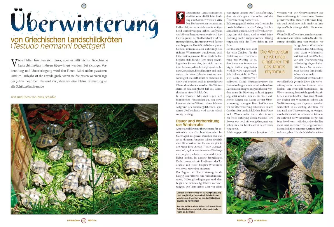 reptilia-103-1 Reptilia 103 - Käfer - das grosse Krabbeln im Terrarium