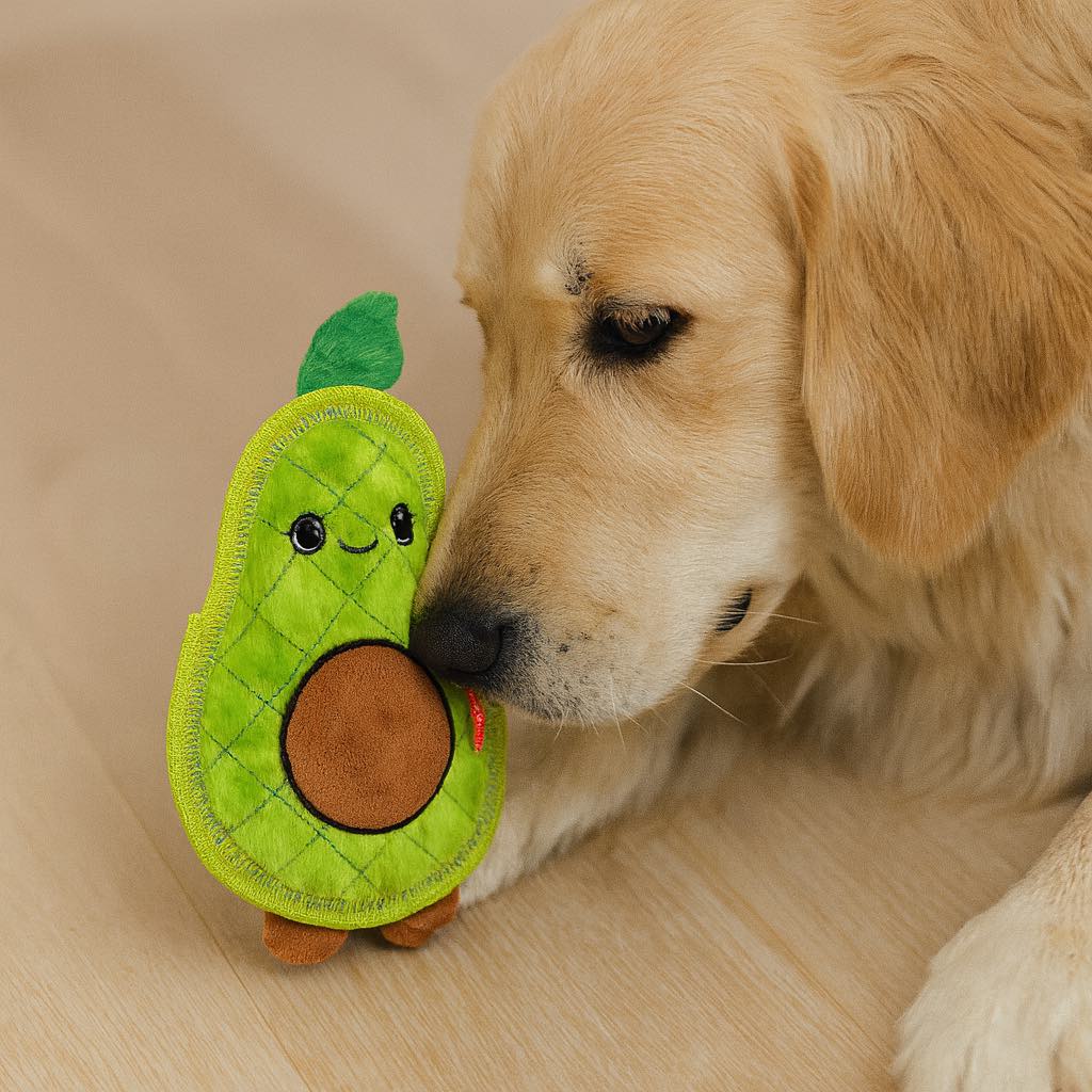 Growl Flip Floppz Ava die Avocado