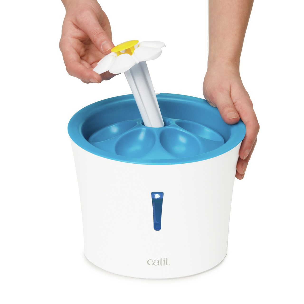 Weisser Trinkbrunnen mit blauem Rand und Blume, die von einer Hand gehalten wird.