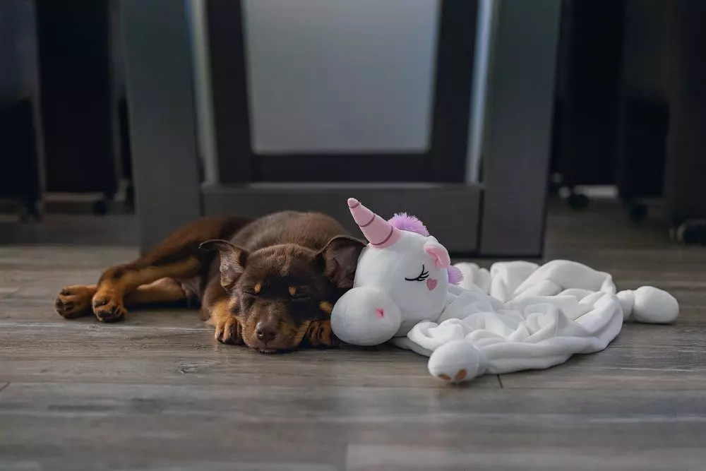 Puppy Fun - Kuscheltuch Einhorn