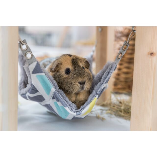 Shelter with hammock Sunny