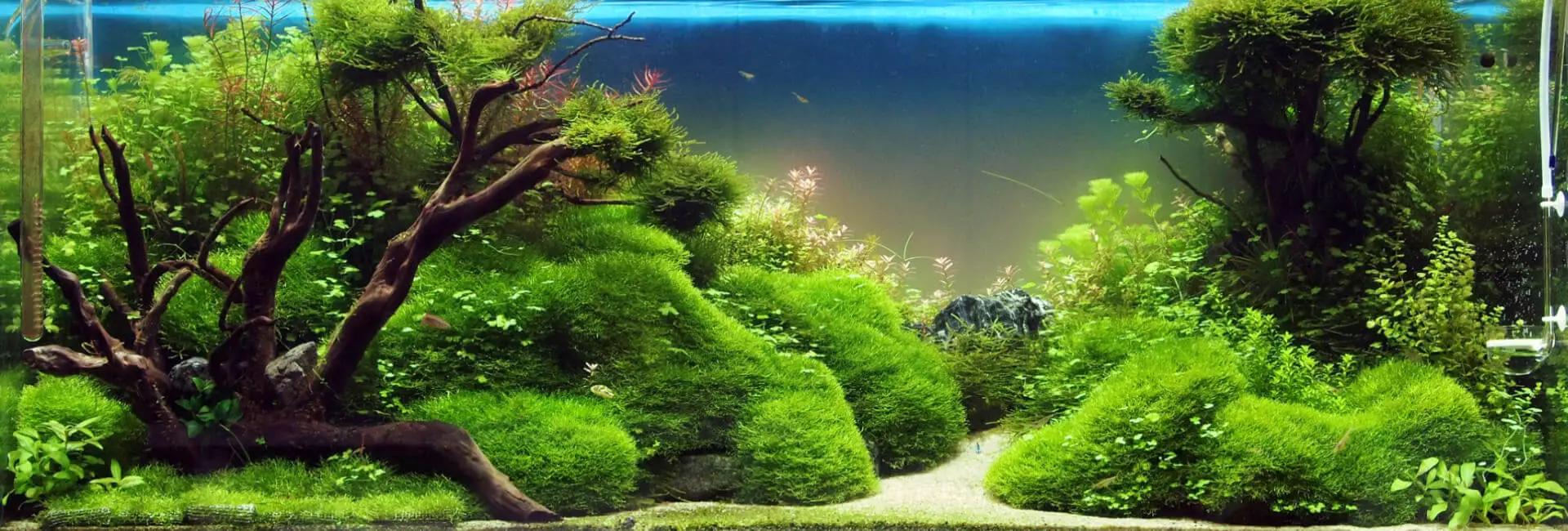 Aquascaping Zubehör Aquascaping Zubehör