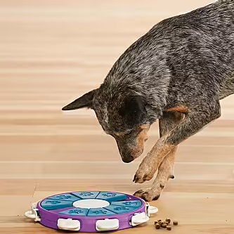 Nina Ottosson - Dog Twister 