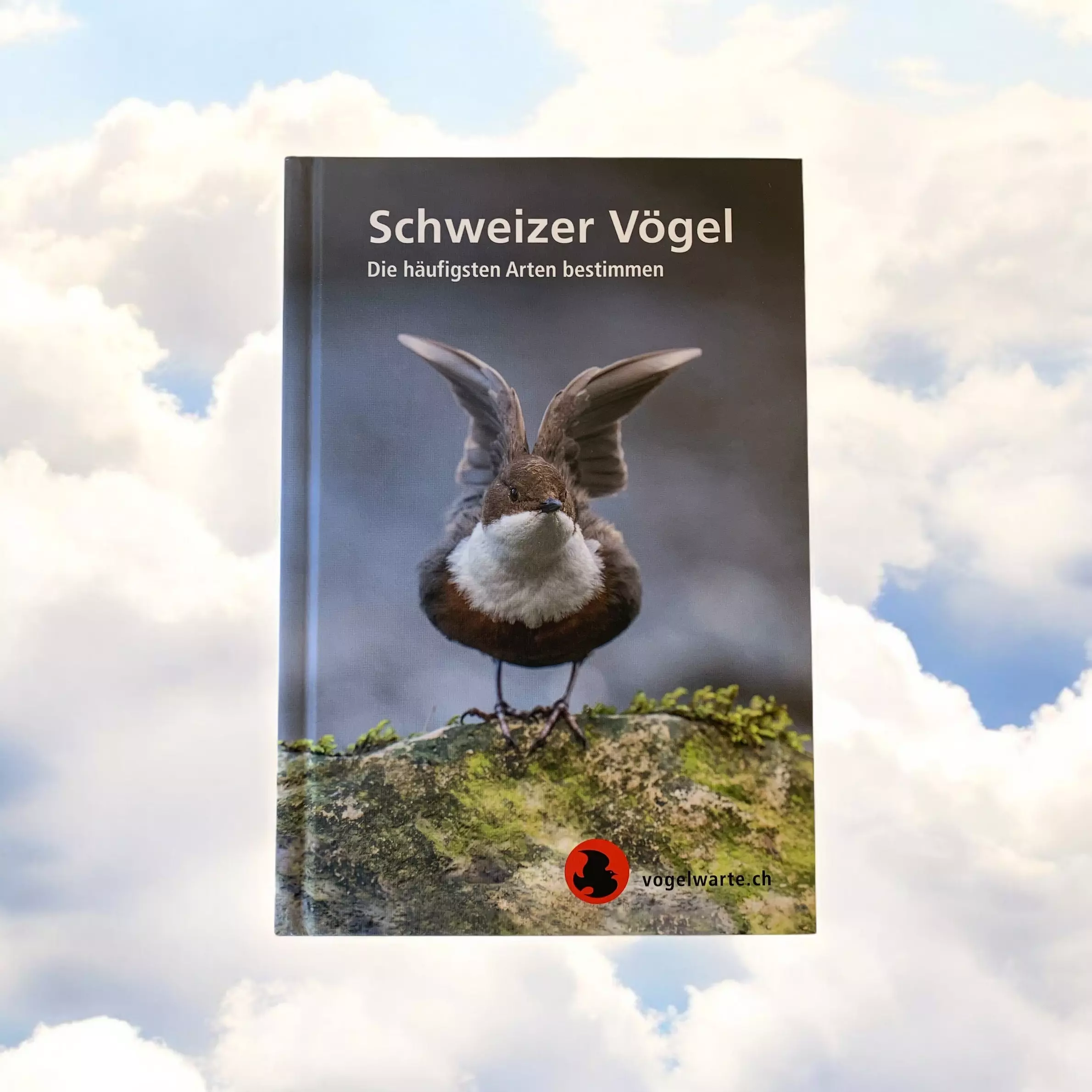 schweizer-voegel-vogelwarte-sempach