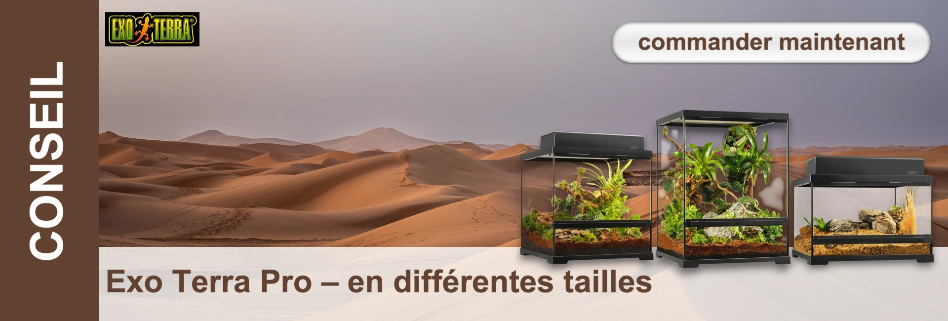 Trois terrariums avec un arrière-plan désertique. Différentes tailles, plantes et décorations à l'intérieur.