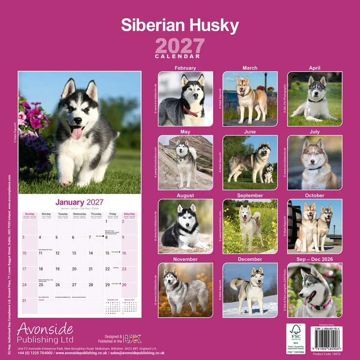 Kalender 2027 Siberian Husky