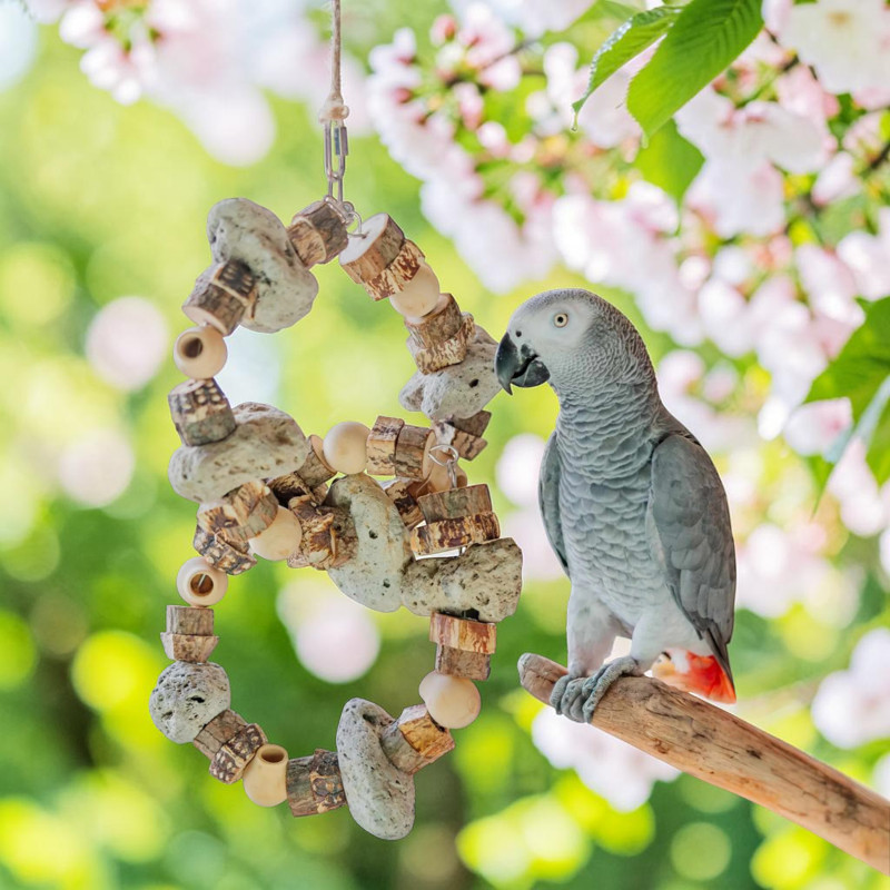Quapas! Doppelring für Vögel