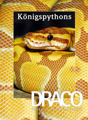 Draco 35 - Königsphytons