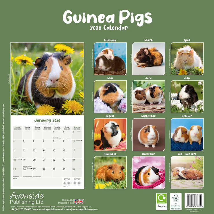 Calendar 2025 Guinea Pigs