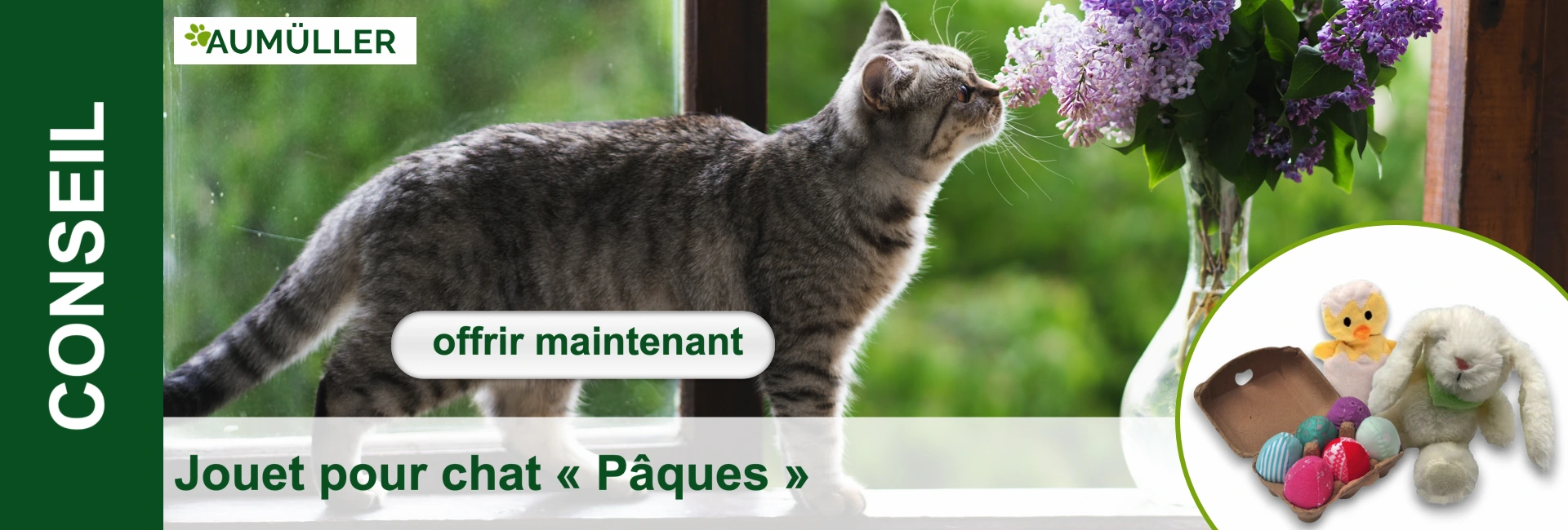 Un chat tigré renifle un bouquet de lilas sur un rebord de fenêtre. Au premier plan, un Oster-Jouet pour chat.