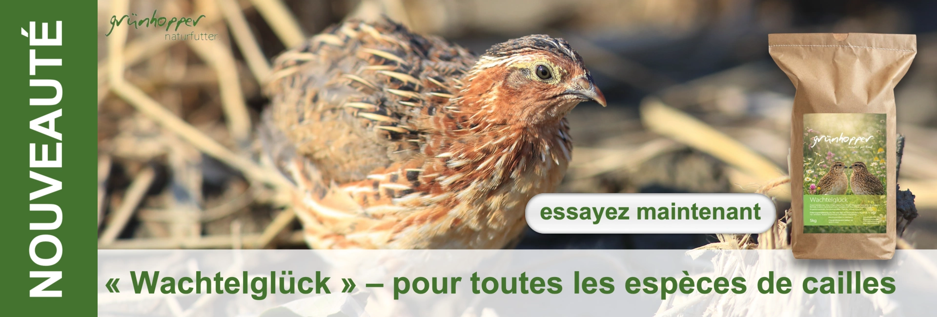 Gros plan sur une caille brun et blanc dans l’herbe sèche, regardant à droite. À côté, sac d’alimentation marron « Wachtelglück » avec illustration de caille. À gauche : « NOUVEAUTÉ » ; en bas : « pour toutes les cailles ».