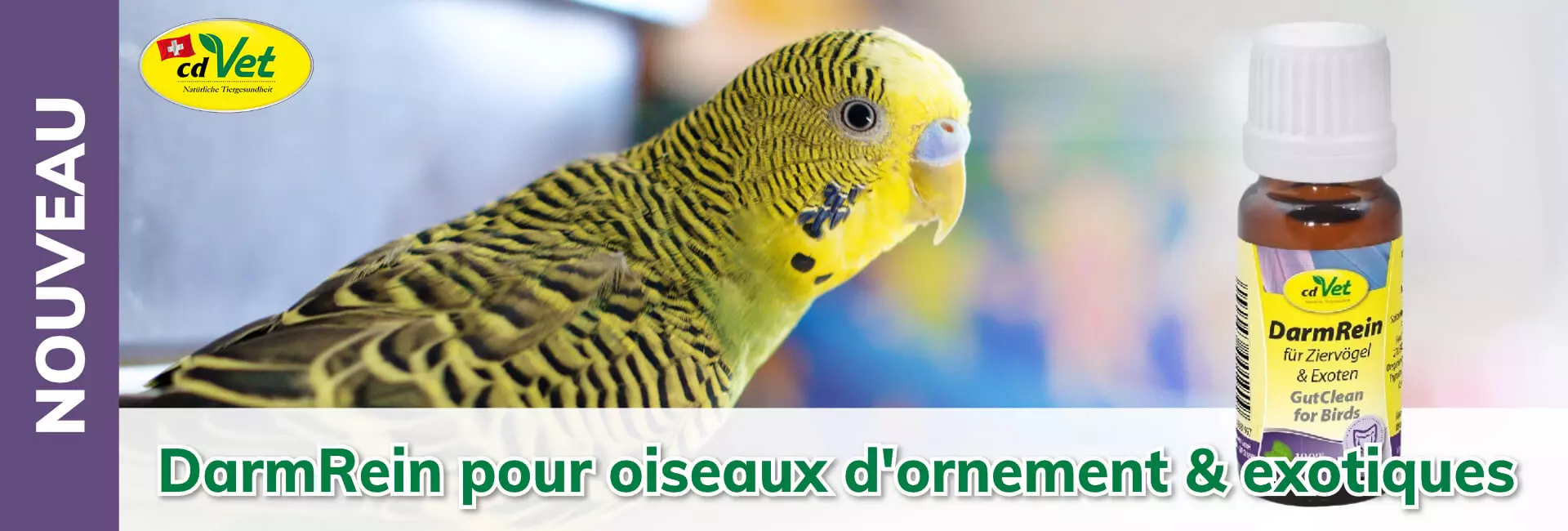cdVet DarmRein pour oiseaux d'ornement & exotiques