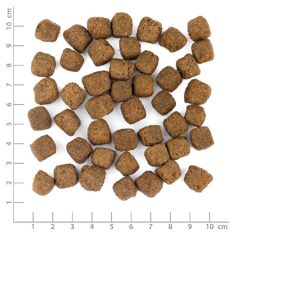 Wolfsblut Limited Ingredients Dark Forest Adult 