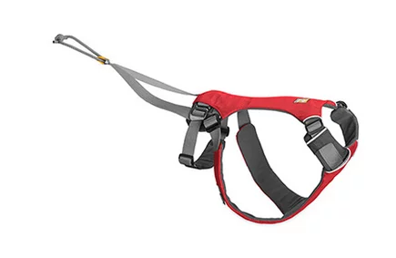 Omnijore Dog Harness 