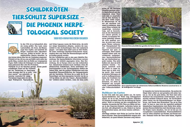 marginata-48-schildkroeten-im-tierschutz-3 Marginata 48 - Schildkröten im Tierschutz
