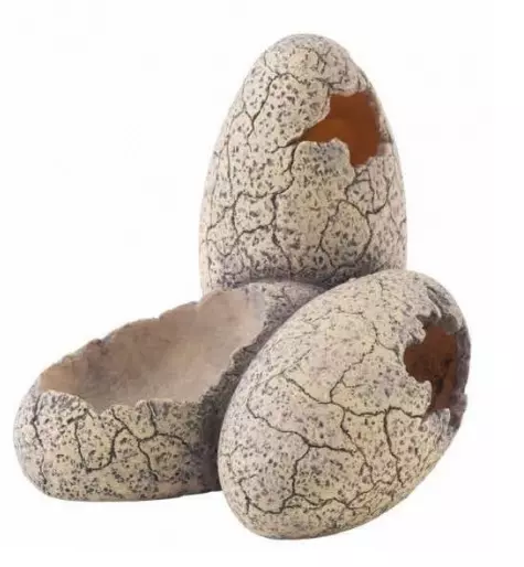 Exo Terra Dinosaurier Eier