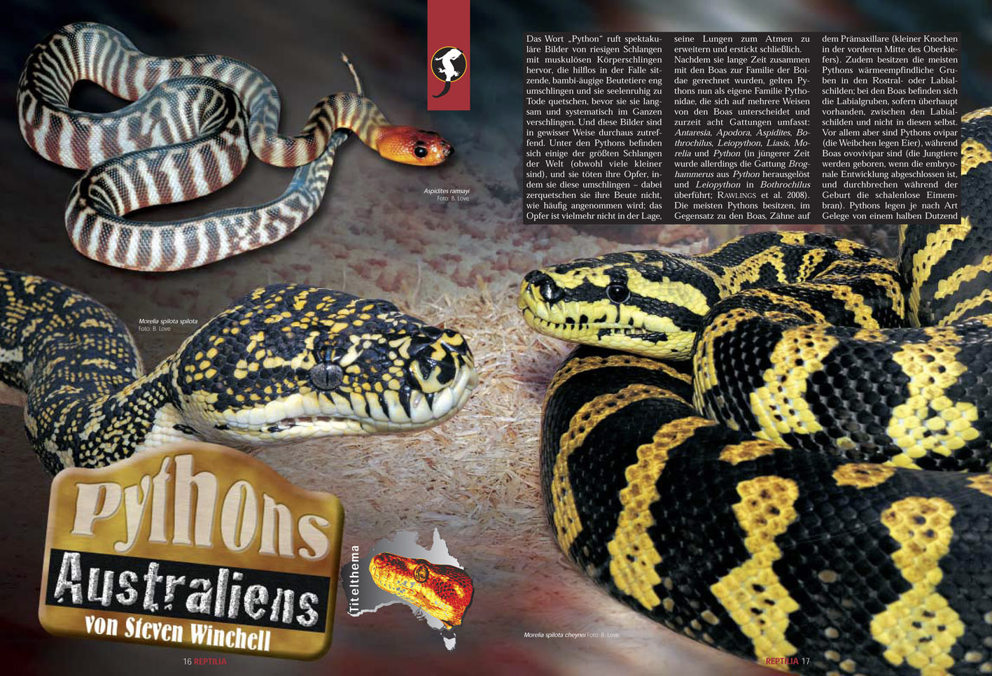 Reptilia 79 - Australische Pythons