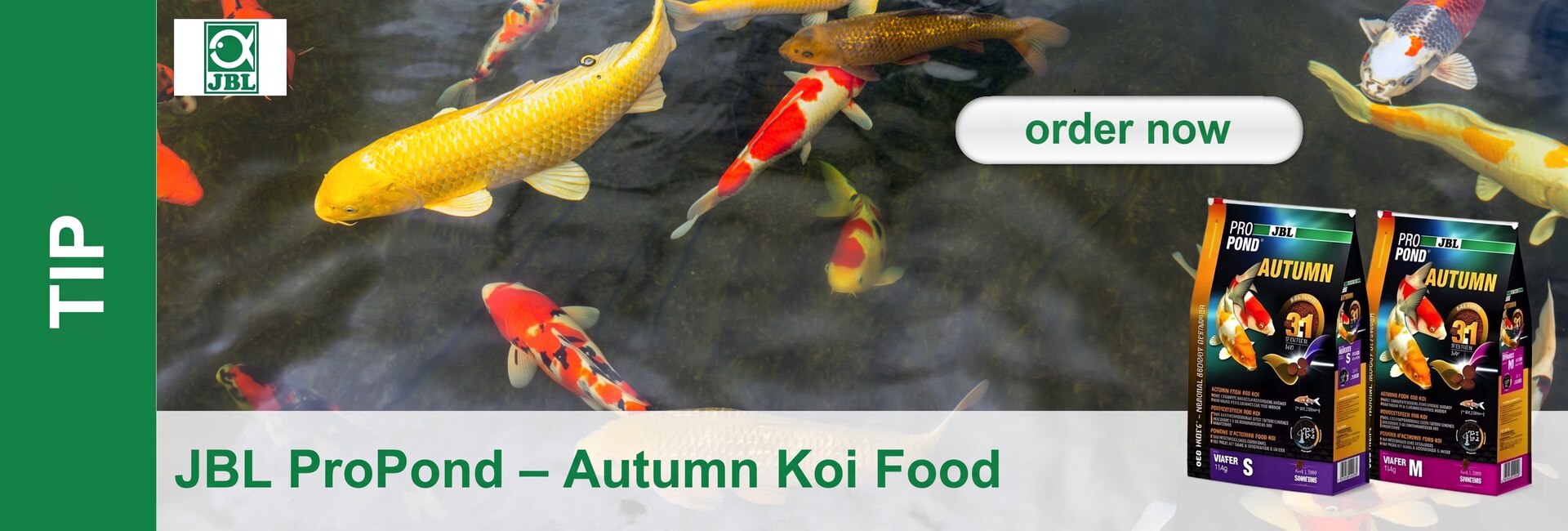 Colourful koi carp swim in clear pond water. A large golden koi takes centre stage, surrounded by red, white and black fish. In the foreground are two packets of JBL ProPond Autumn Koi Food; left: ‘TIP’; top right: ‘Order now’.