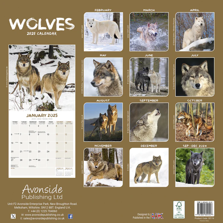 Kalender 2025 Wolf - Wölfe - Wolves