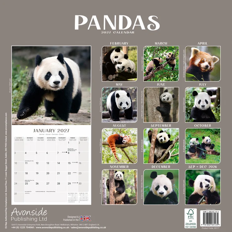 Kalender 2027 - Pandas