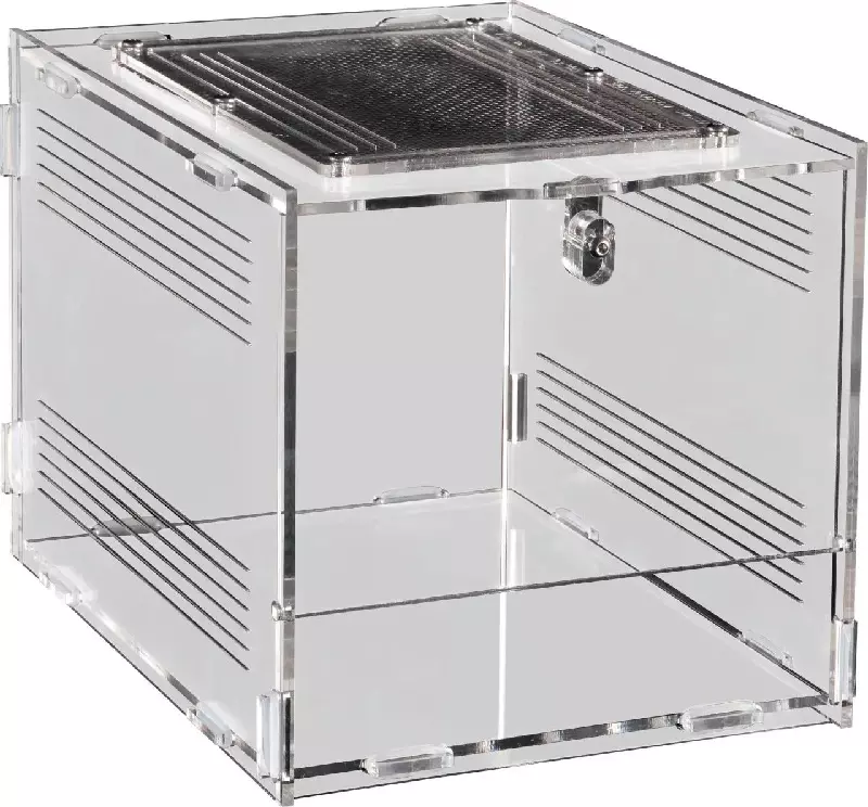 Repto Terra clear acrylic terrarium