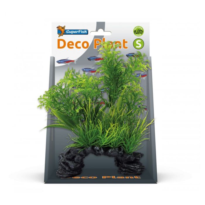 Deco Plants S Ambulia