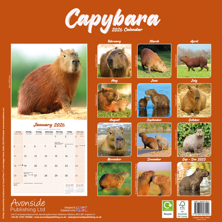 Calendrier 2025 Fox Red Labrador Retriever