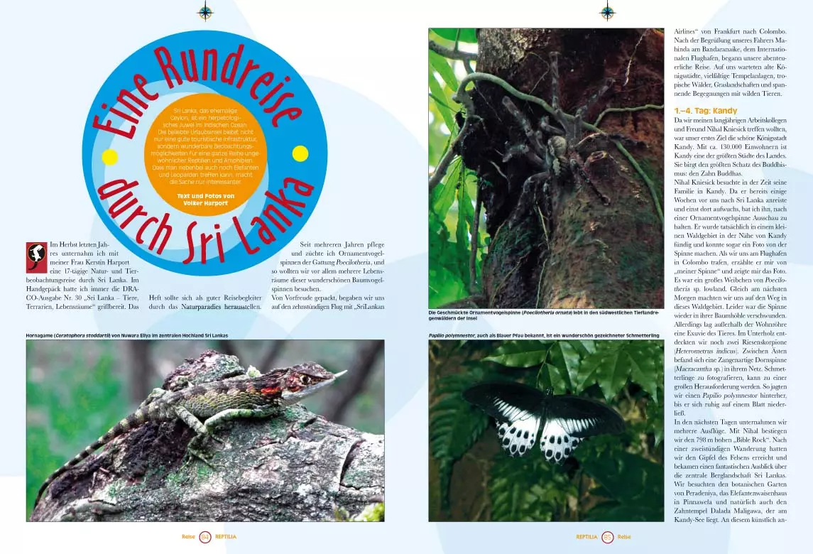 reptilia-114-3 Reptilia 114 - Jurassic World im Wohnzimmer, Saurier für das Terrarium