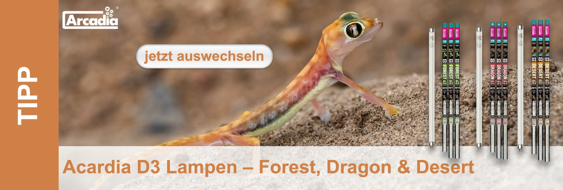 Un geco colorato si trova sulla sabbia, accanto a tre set di lampade per la foresta, il drago e il deserto, pubblicizzati da Arcadia.