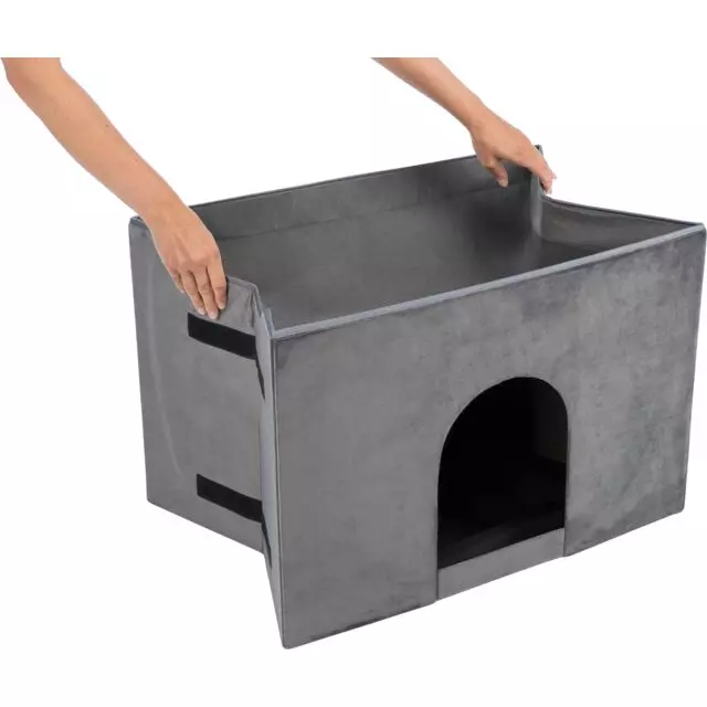 Höhle Harvey mit Treppe