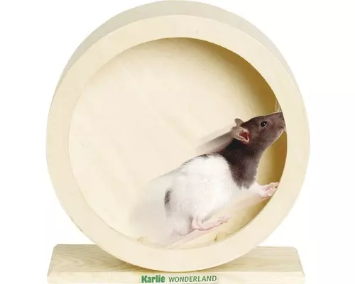 Bogie Wheel Laufrad