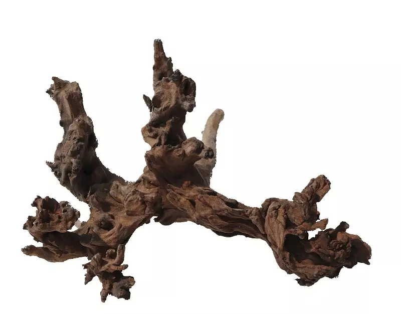 Mystic Wood - aquarium root
