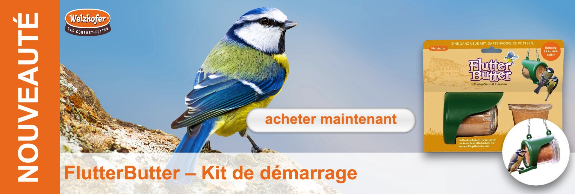 Une mésange bleue au dos bleu, poitrine jaune et tête blanche striée de noir est perchée sur un rocher devant un ciel bleu. À droite, le kit de démarrage FlutterButter d'Welzhofer, avec distributeur vert et nourriture.