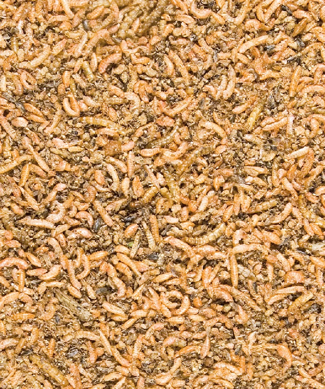 Versele Laga Insect Mix