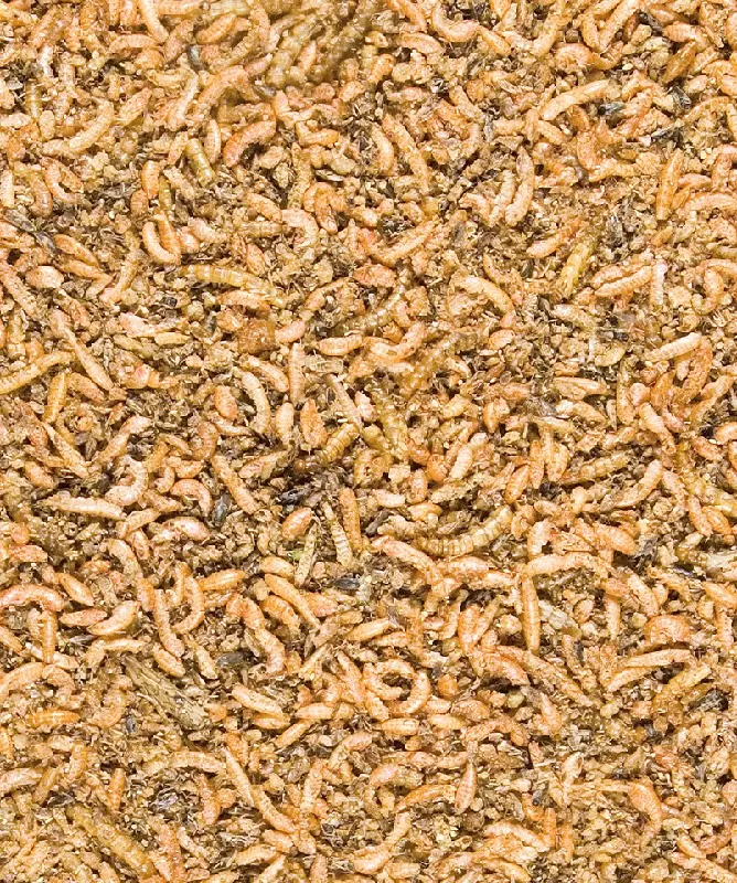 versele-laga-insect-mix-1 Versele Laga Insect Mix