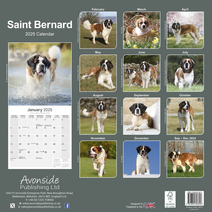 Kalender 2025 Bernhardiner - St. Bernhardshund - Saint Bernhard Kalender 2025 Bernhardiner - St. Bernhardshund - Saint Bernhard