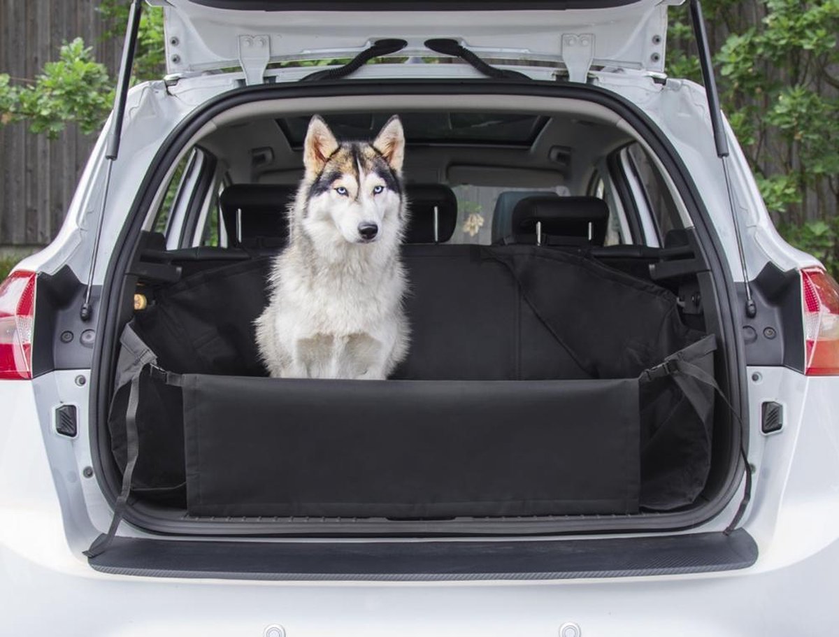 Trunk protective cover 155x121cm