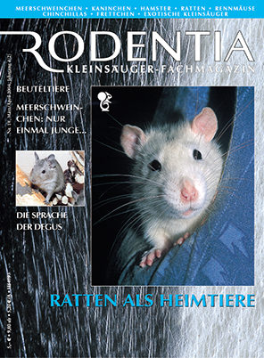 Rodentia 18 - Ratten als Heimtiere