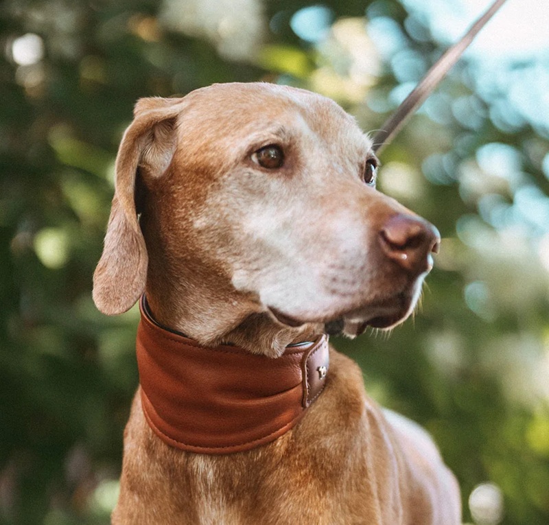 Collier ergonomique Arvika  Collier ergonomique Arvika