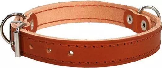 Halsband aus Leder 