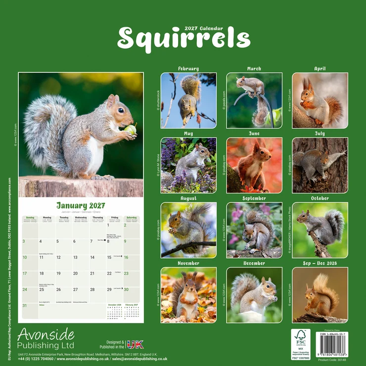 Kalender 2027 Eichhörnchen - Squirrels