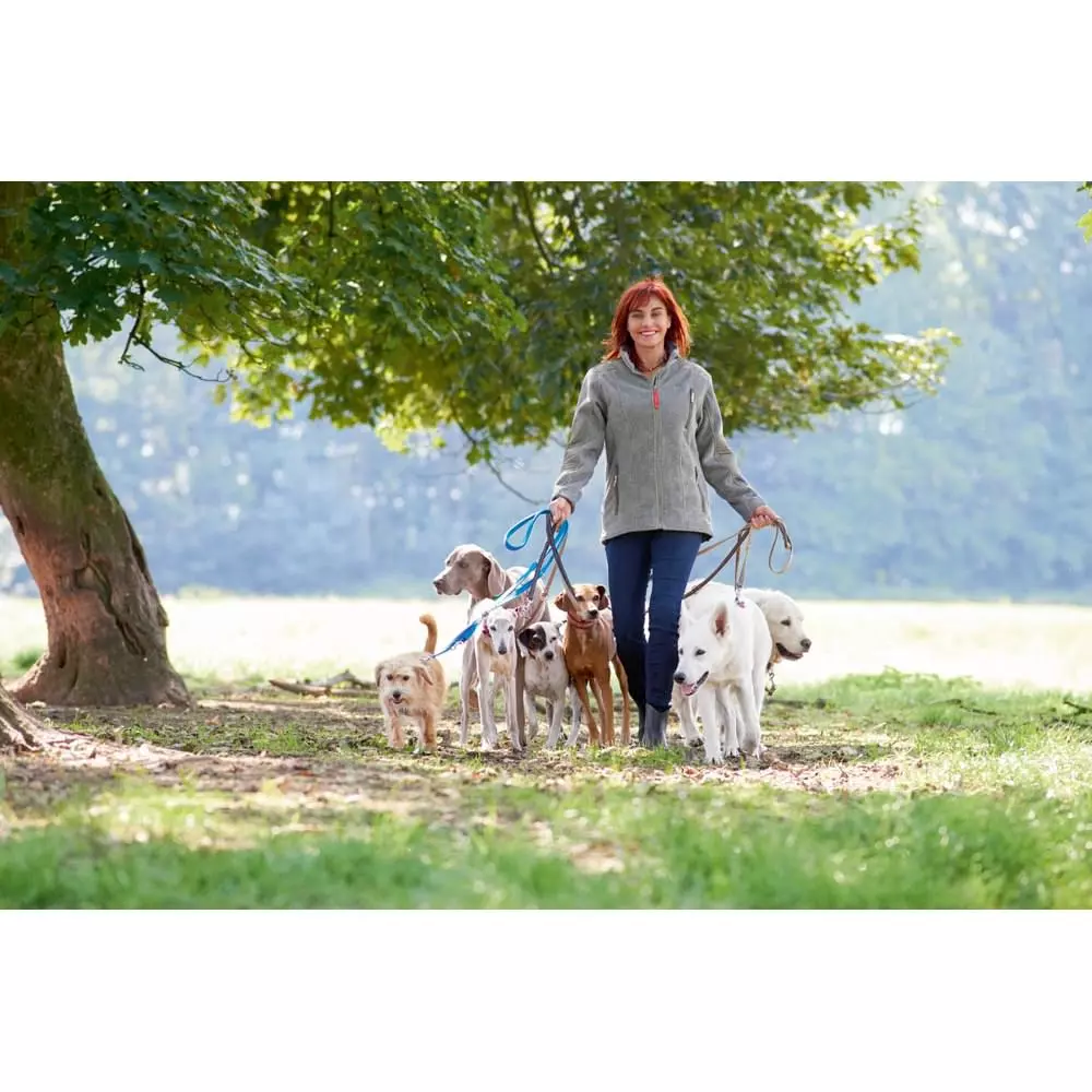 Owney Mestral Diana Eichhorn Grey