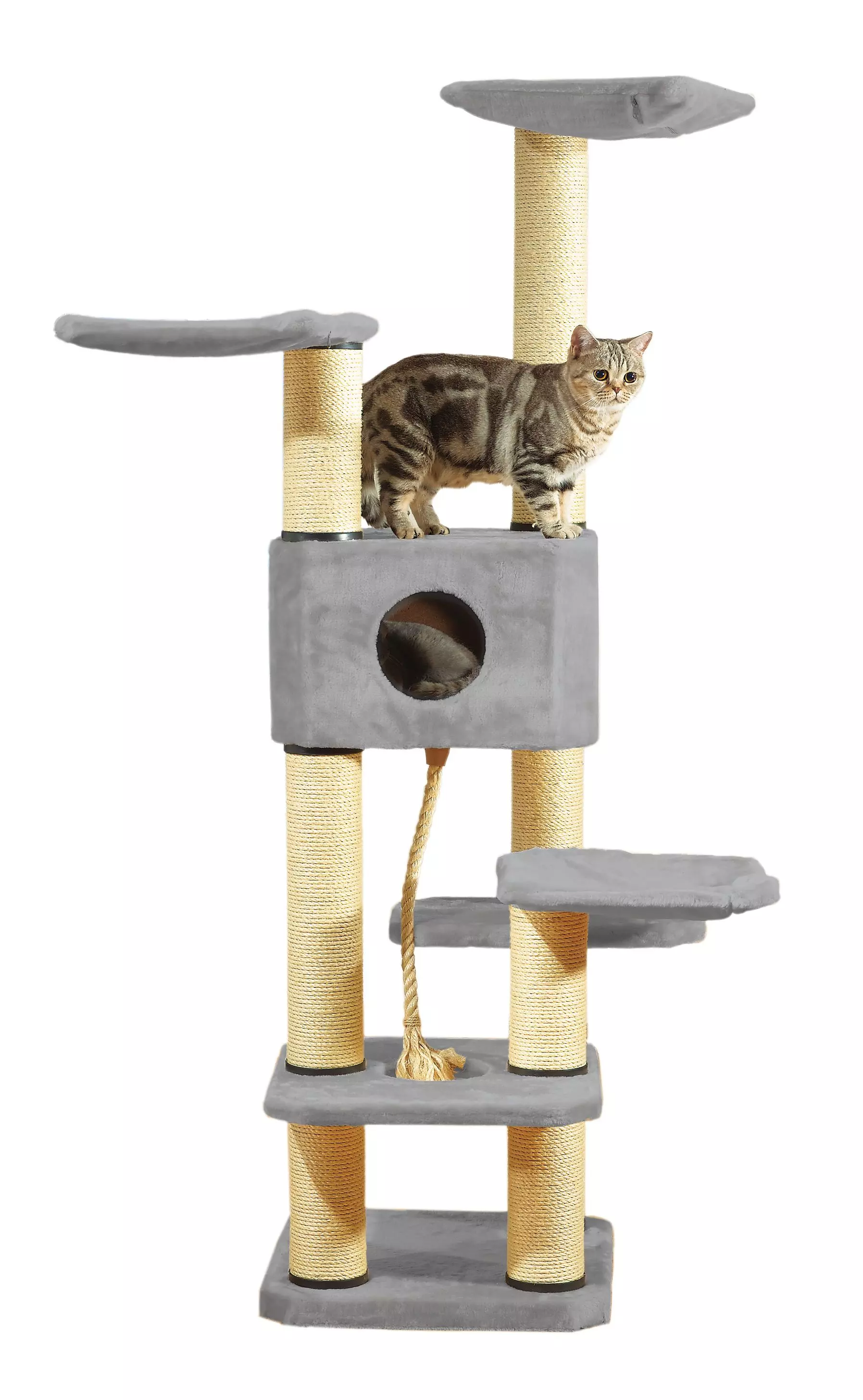 Swisspet Scratching Tree Annabelle