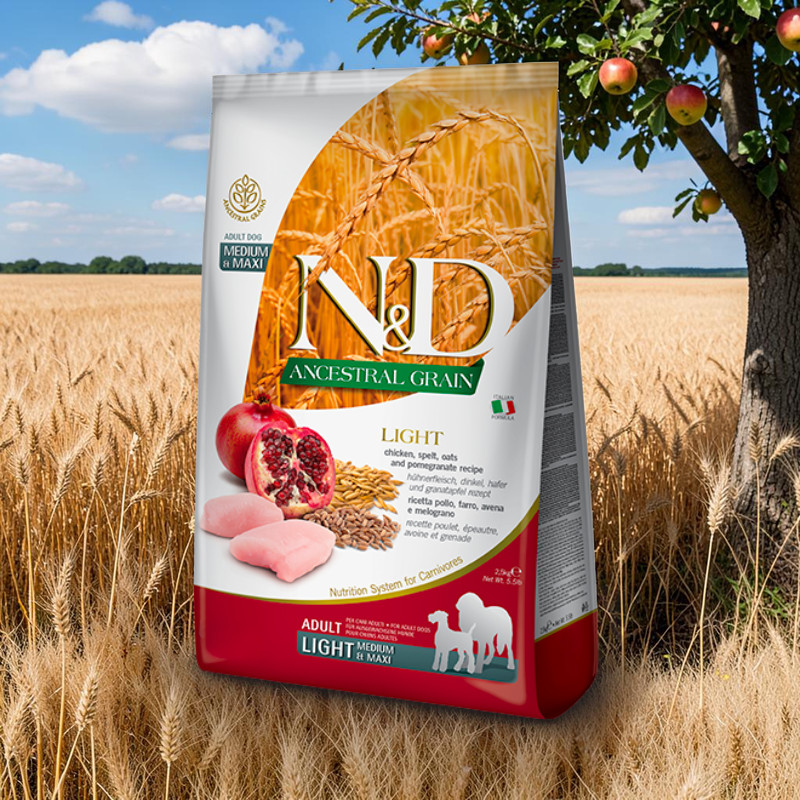 Farmina N&D Ancestral Grain Light Medium & Maxi Huhn, Dinkel, Hafer & Granatapfel
